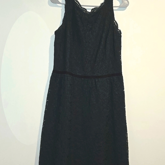 LOFT Dresses & Skirts - LOFT grren lacey floral dress. Size 10.